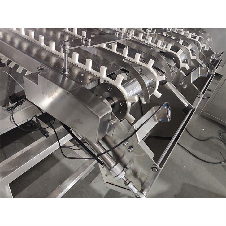 Cracker Sticks Automatic Counting Loading Machine Finger Sticks and Biscuit Sticks Counting Loading Machine custom made wholesale