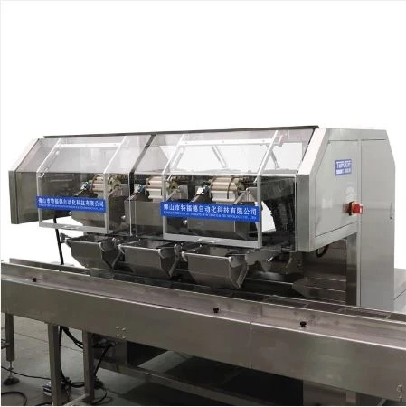 Automatic Counting and Packing Line
